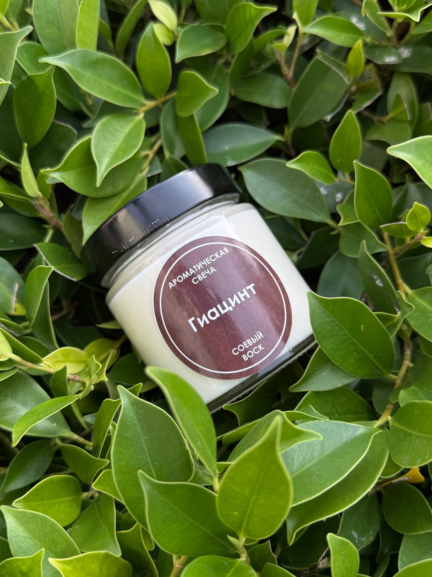 Ароматические свечи из натурального соевого воска