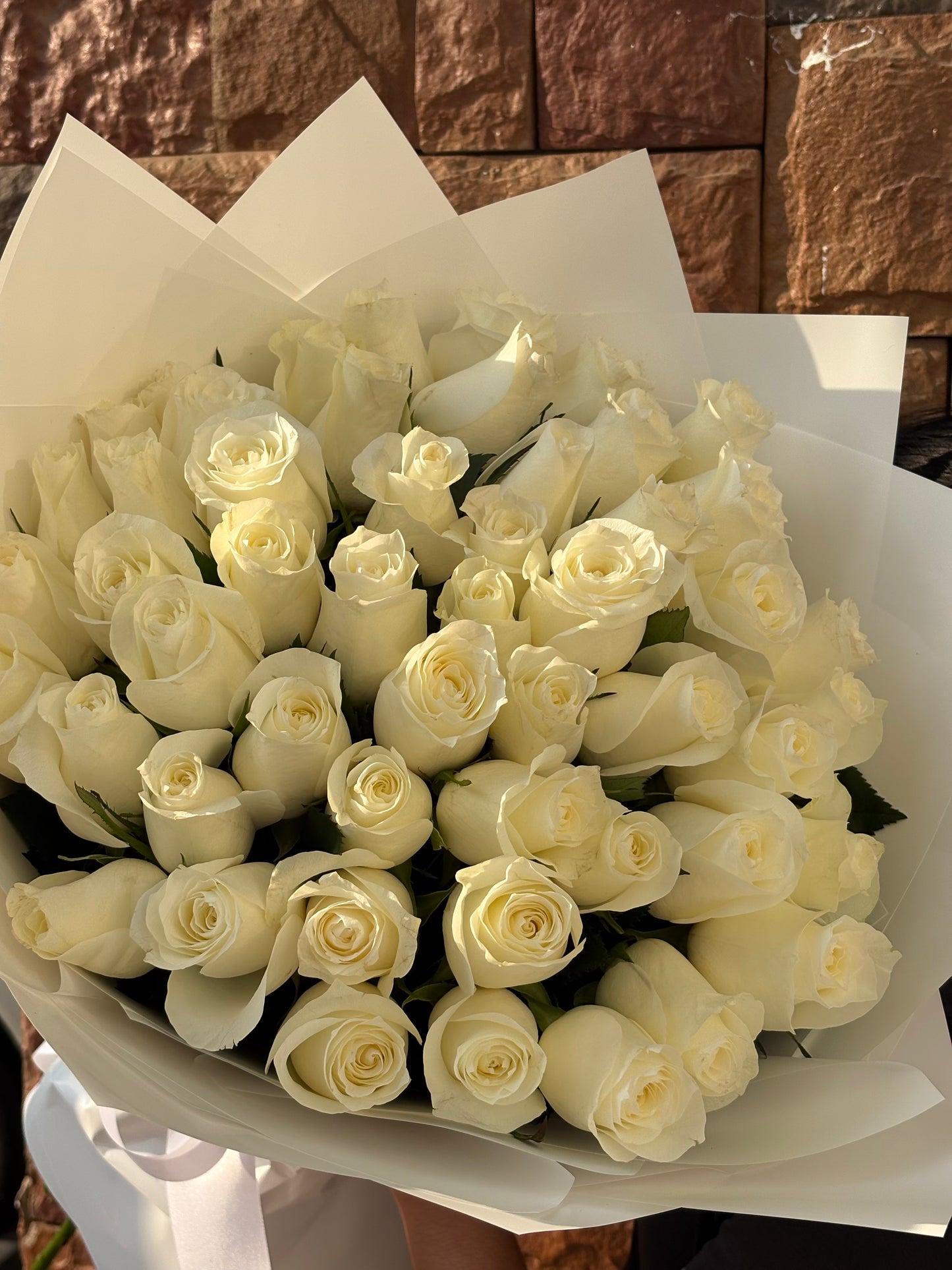51 white rose