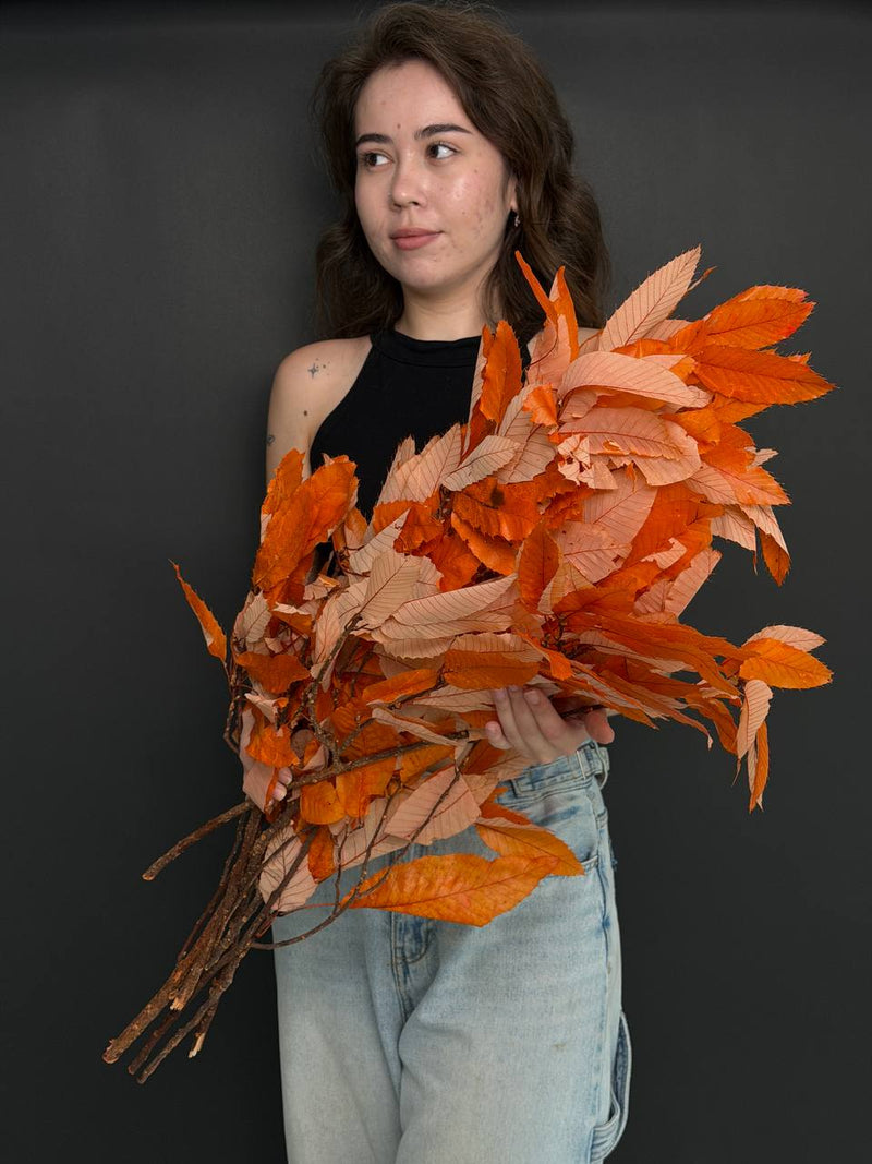 Autumn leaves Big Pack