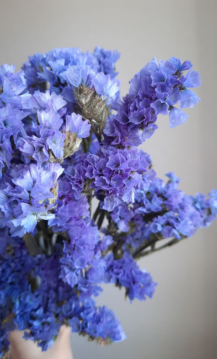 Preserved flowers arrangement — care guide by LaLa Flowers, Pattaya