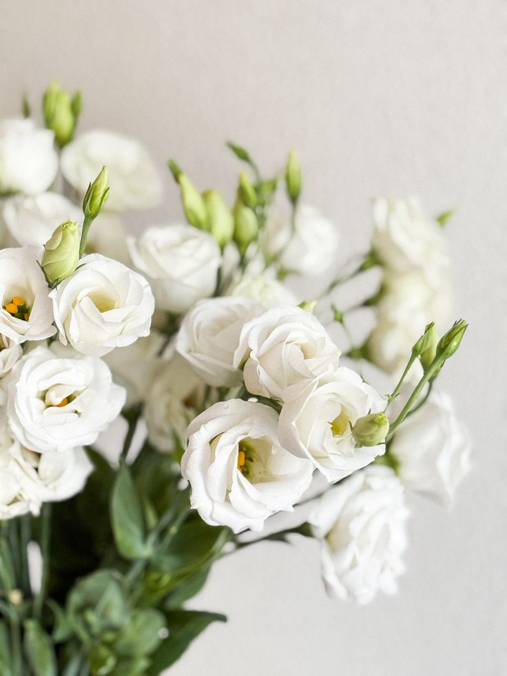 Lisianthus (eustoma) bouquet in a vase — flower care guide by LaLa Flowers, Pattaya