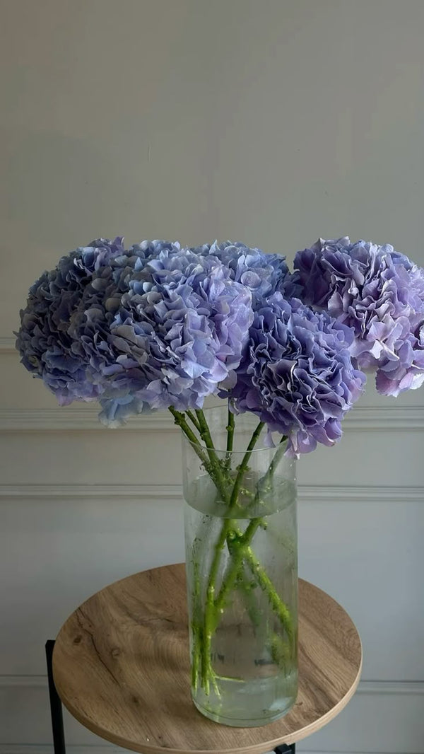 Hydrangeas