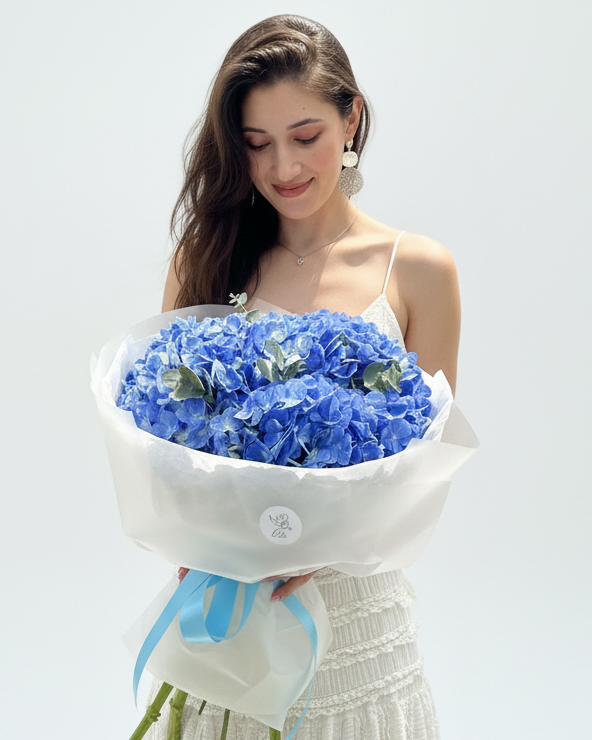 Hydrangea