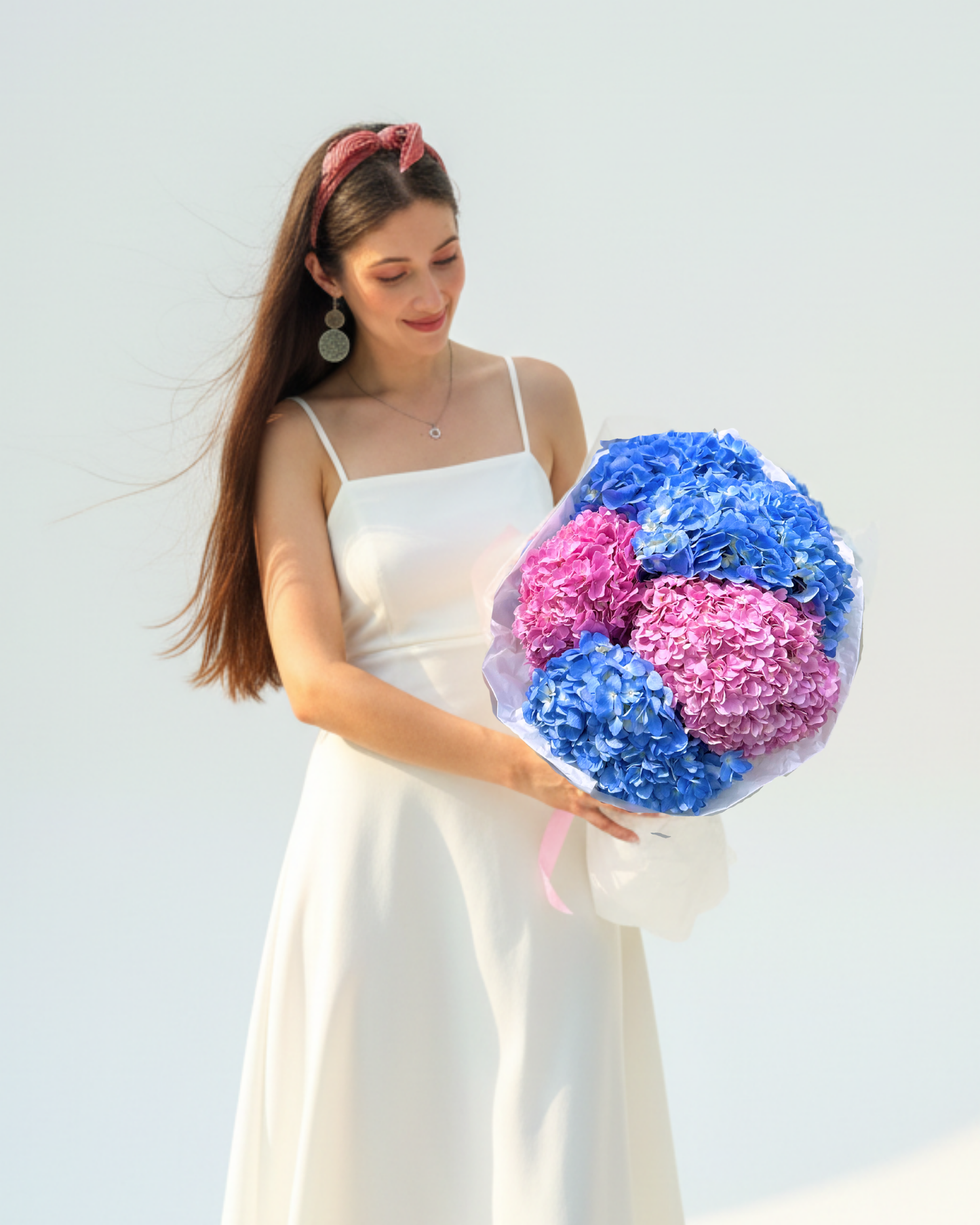 Hydrangea