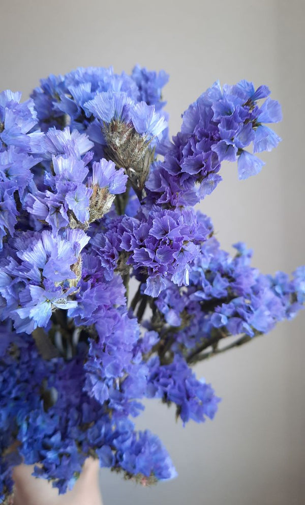 Preserved flowers