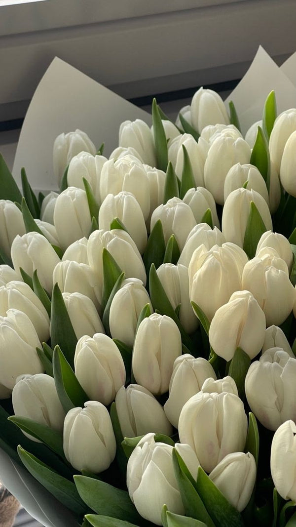 Tulips