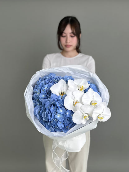 3 hydrangeas with orchid