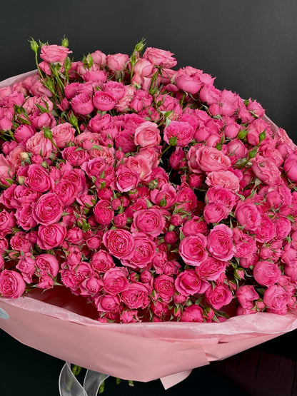 51 Bush rose