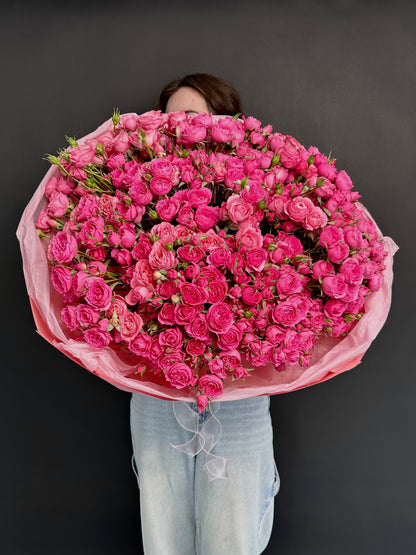 51 Bush rose