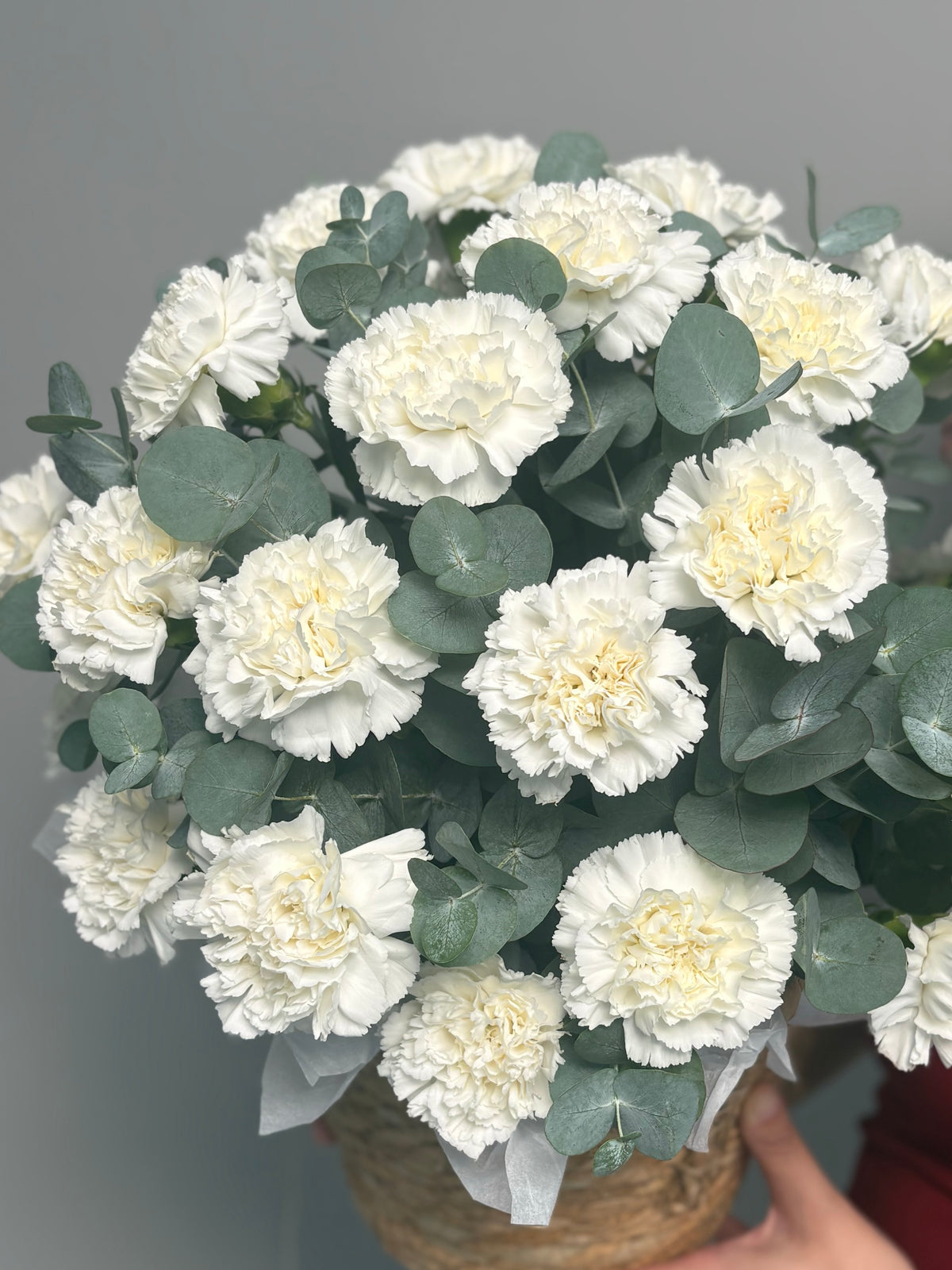 Cashpo with dianthus
