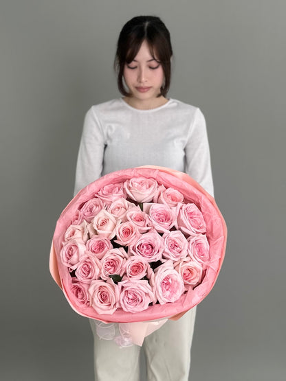 25 pink peony O'Hara roses