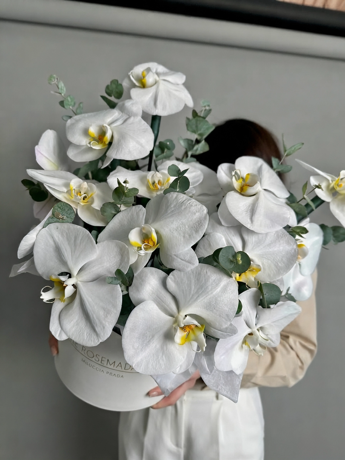 Composition of orchids in the box