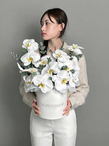 Composition of orchids in the box