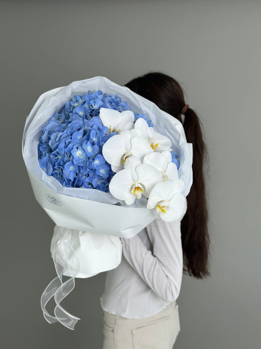 3 hydrangeas with orchid