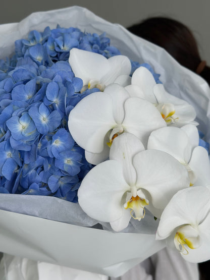 3 hydrangeas with orchid