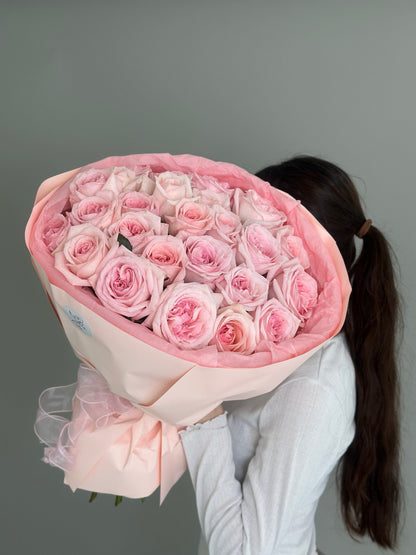 25 pink peony O'Hara roses