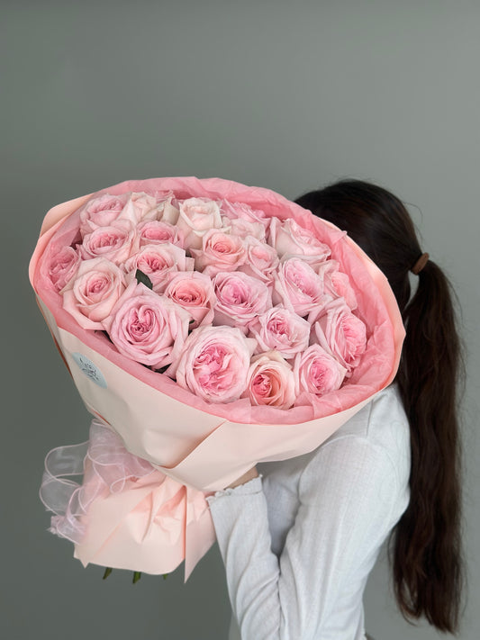 25 pink peony O'Hara roses