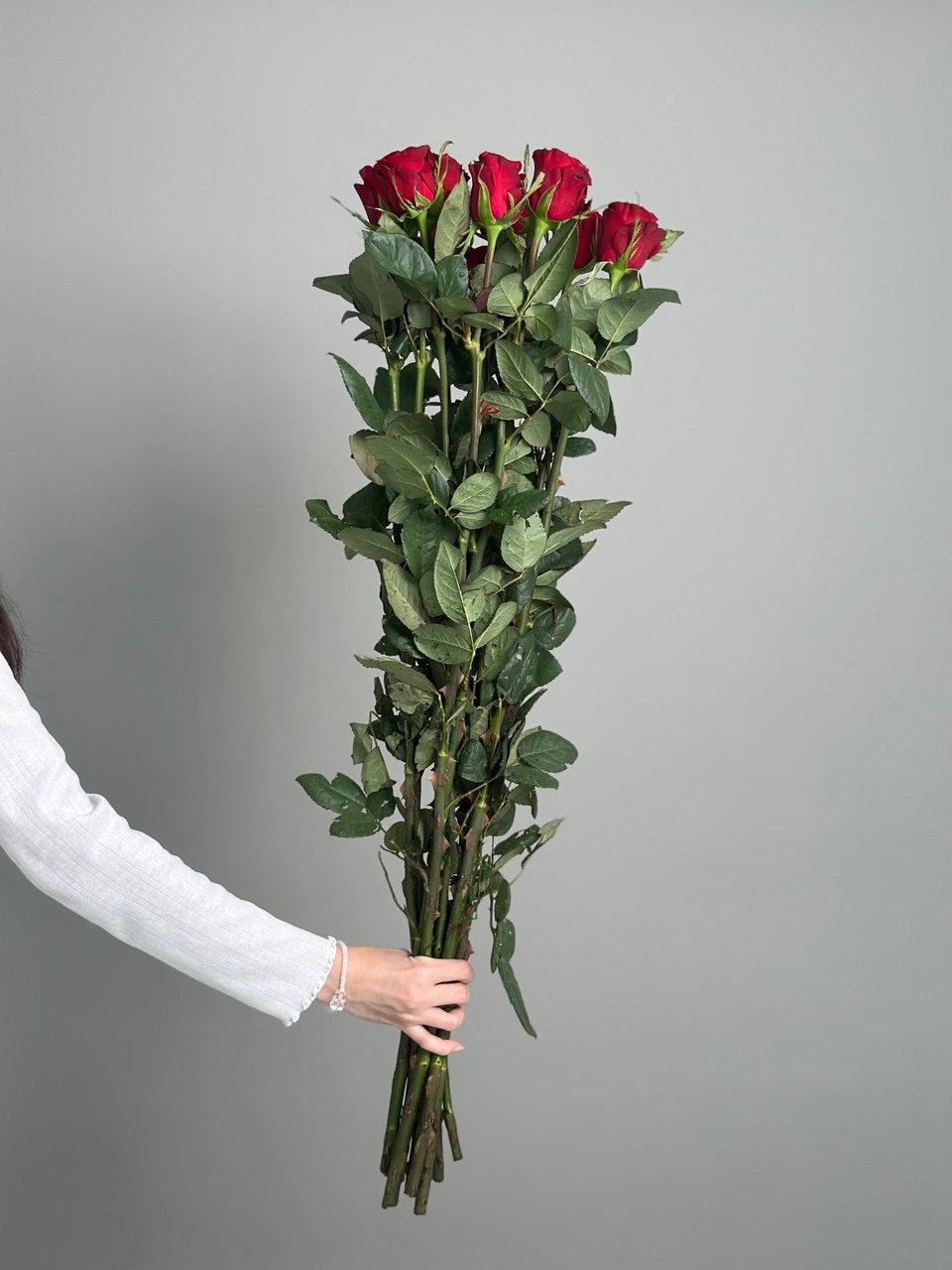 Red rose