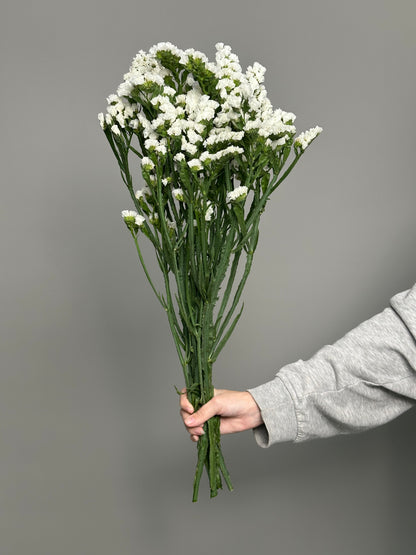 Static white