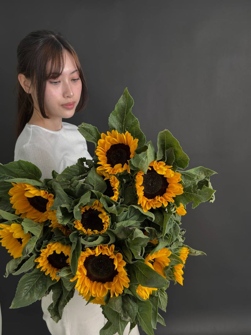 15 Sunflowers
