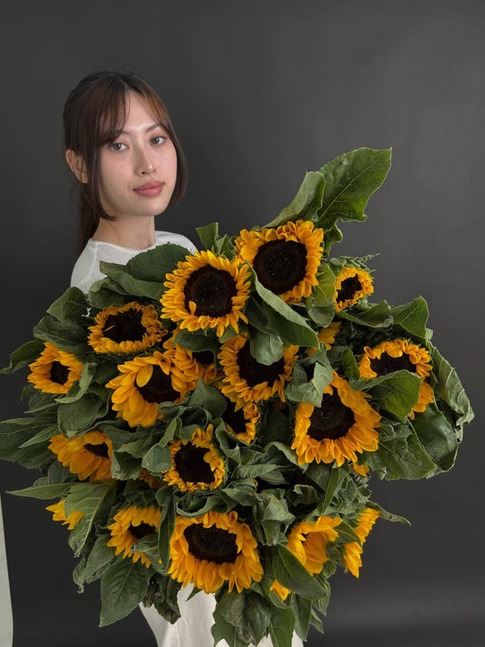 Big pack Sunflower (25 stems)