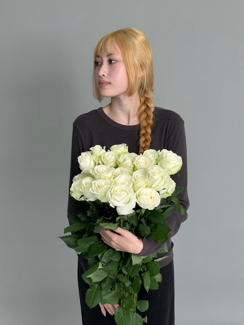 Big pack White Rose (30 stems)