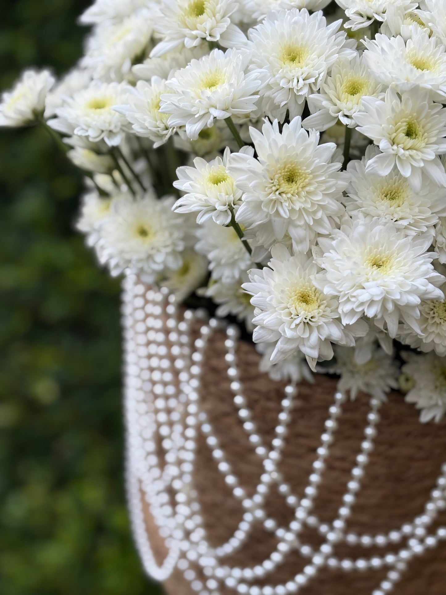 Basket with chrysanthemum