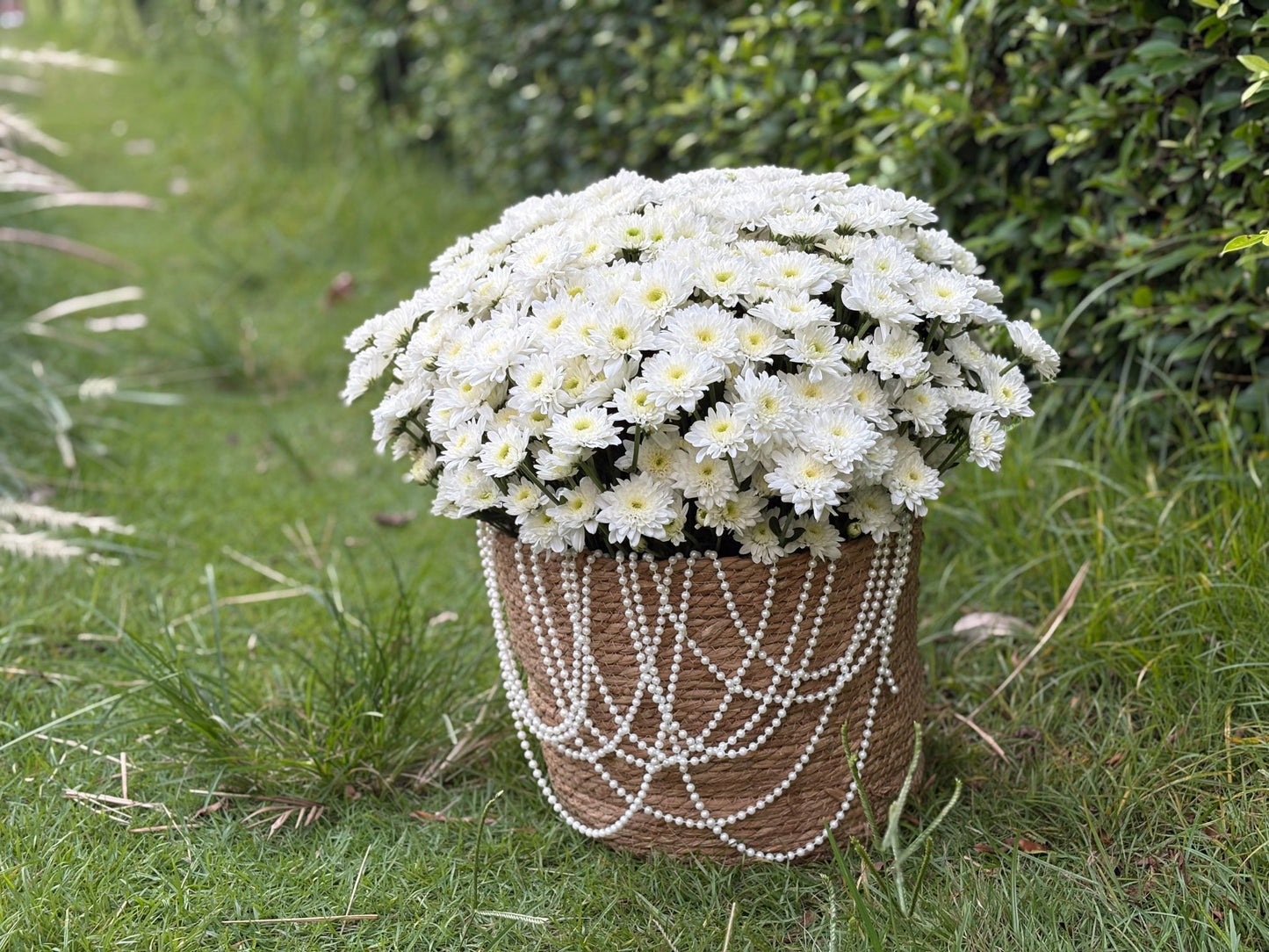 Basket with chrysanthemum