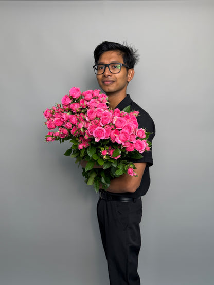 Pink Barbie bush roses by the pack at a wholesale price — LaLa Pattaya