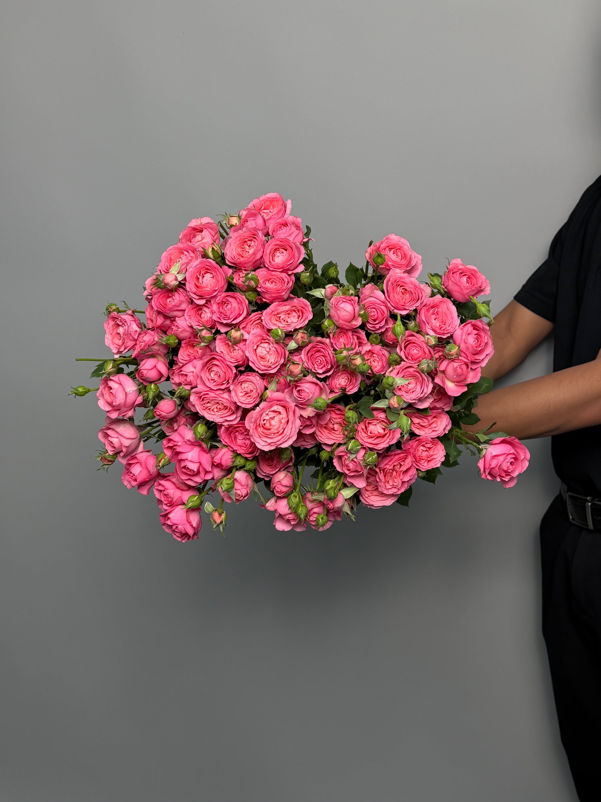 Pink Barbie bush roses by the pack at a wholesale price — LaLa Pattaya