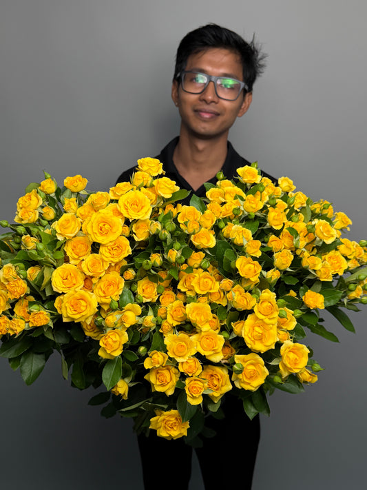 Big bunch of 30 yellow bush roses at a wholesale price — LaLa Pattaya