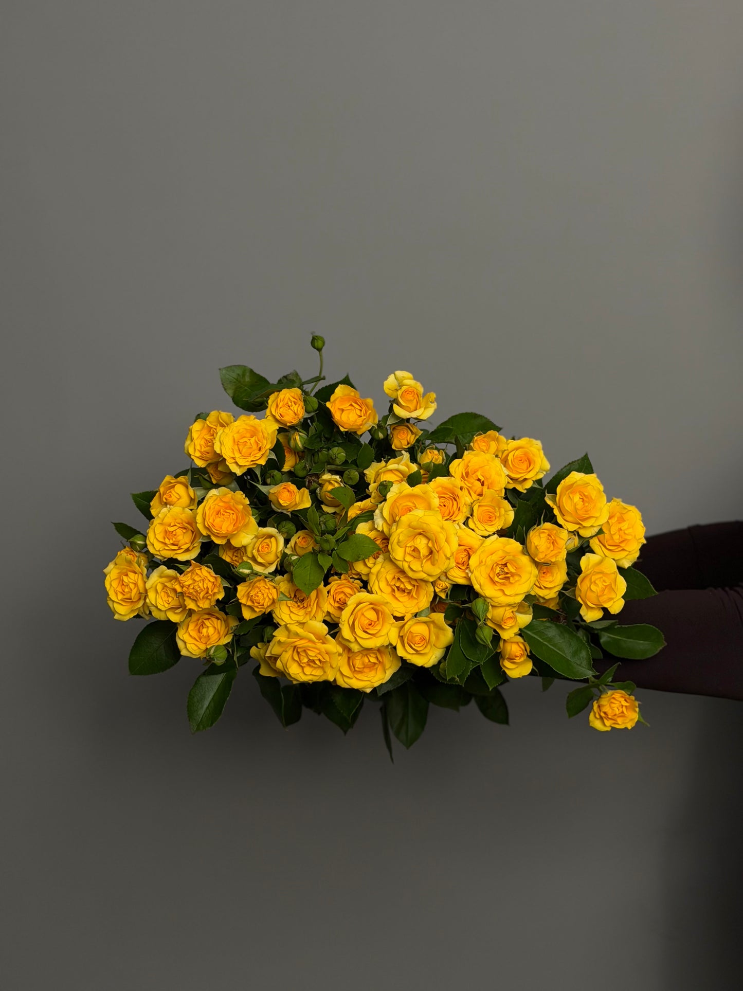 Yellow bush roses by the pack at a wholesale price — LaLa Pattaya