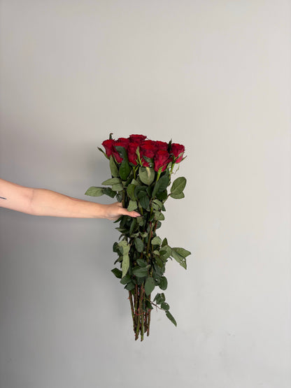 Red rose, Grade B. (10 stems)