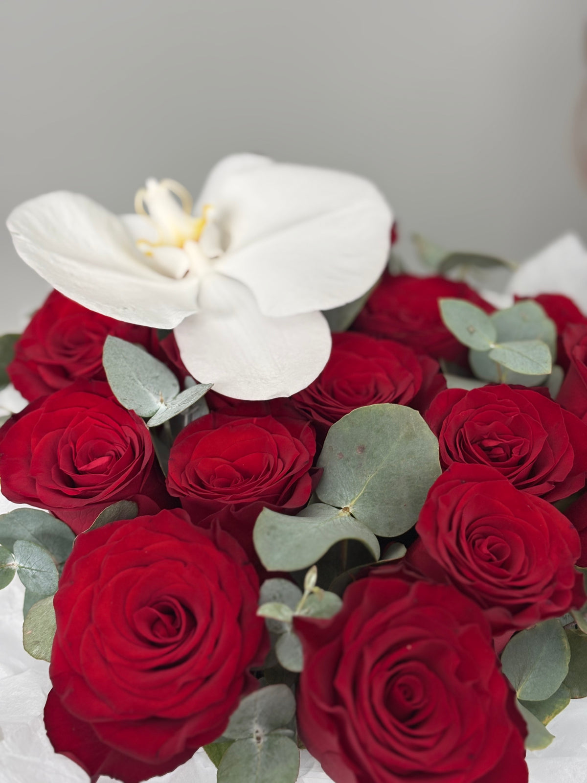 Box with 15 red rose and orchid