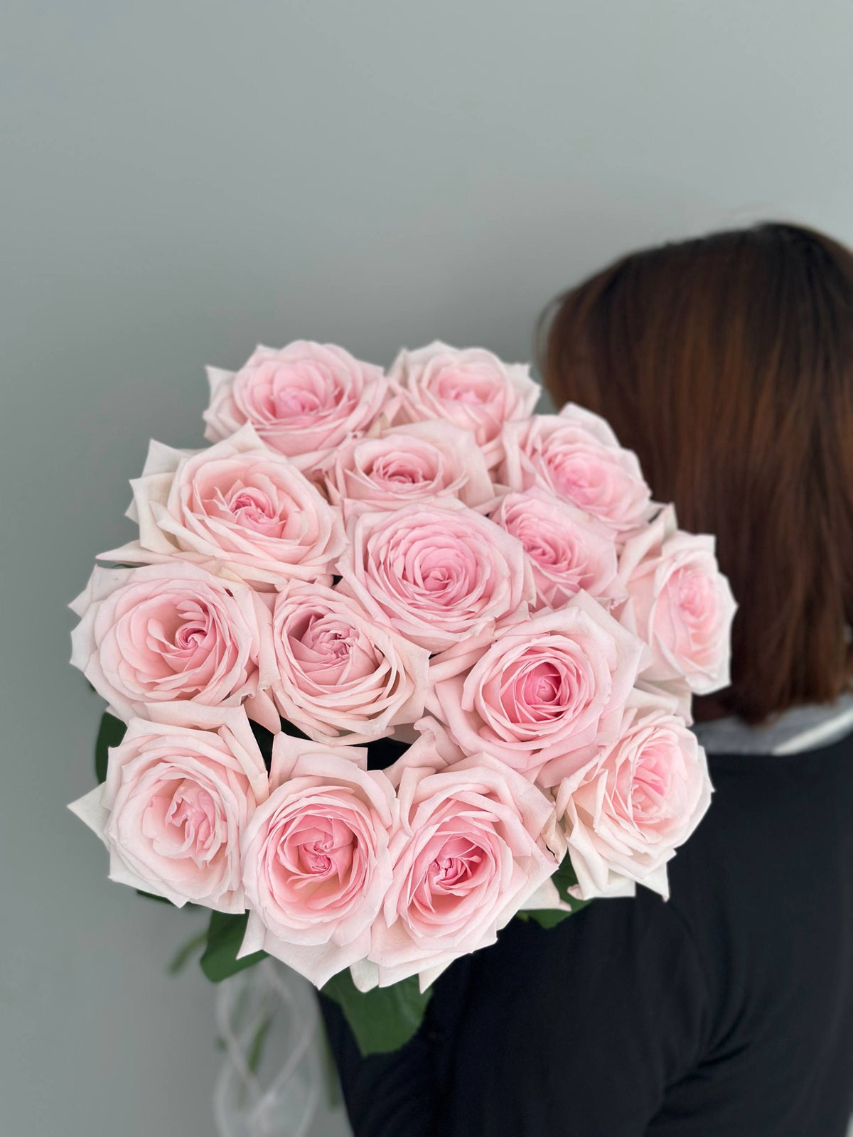 15 pink Ohara rose
