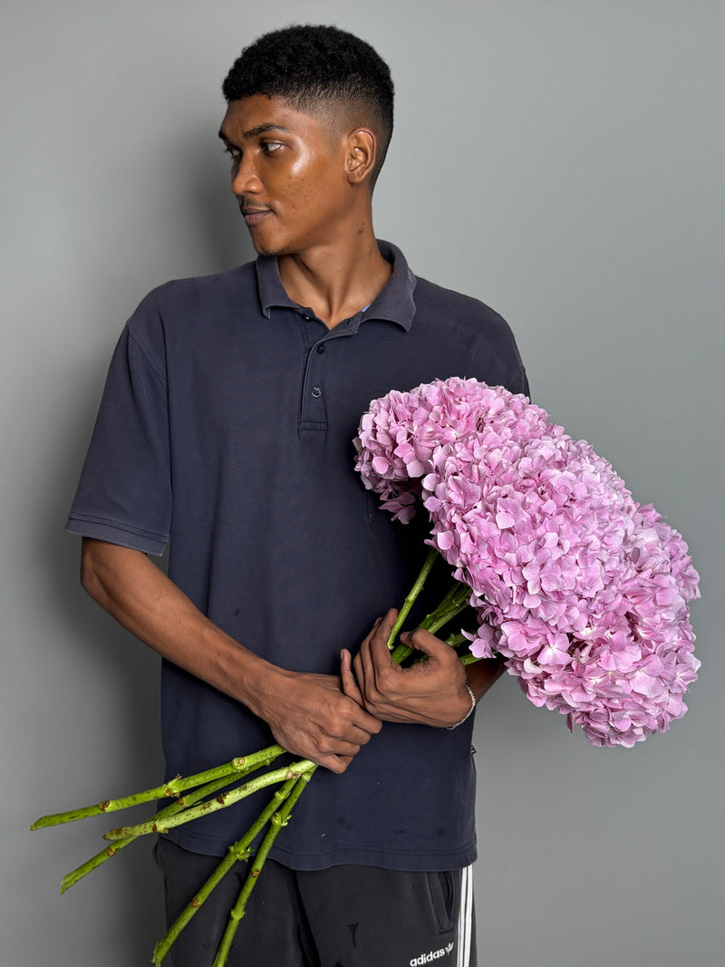 5 stems Pink Hydrangeas