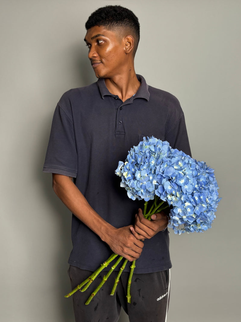 5 stems Blue Hydrangeas