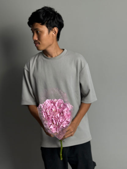 Hydrangea pink