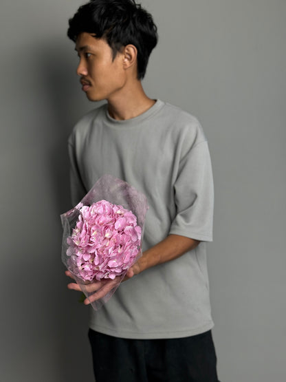 Hydrangea pink