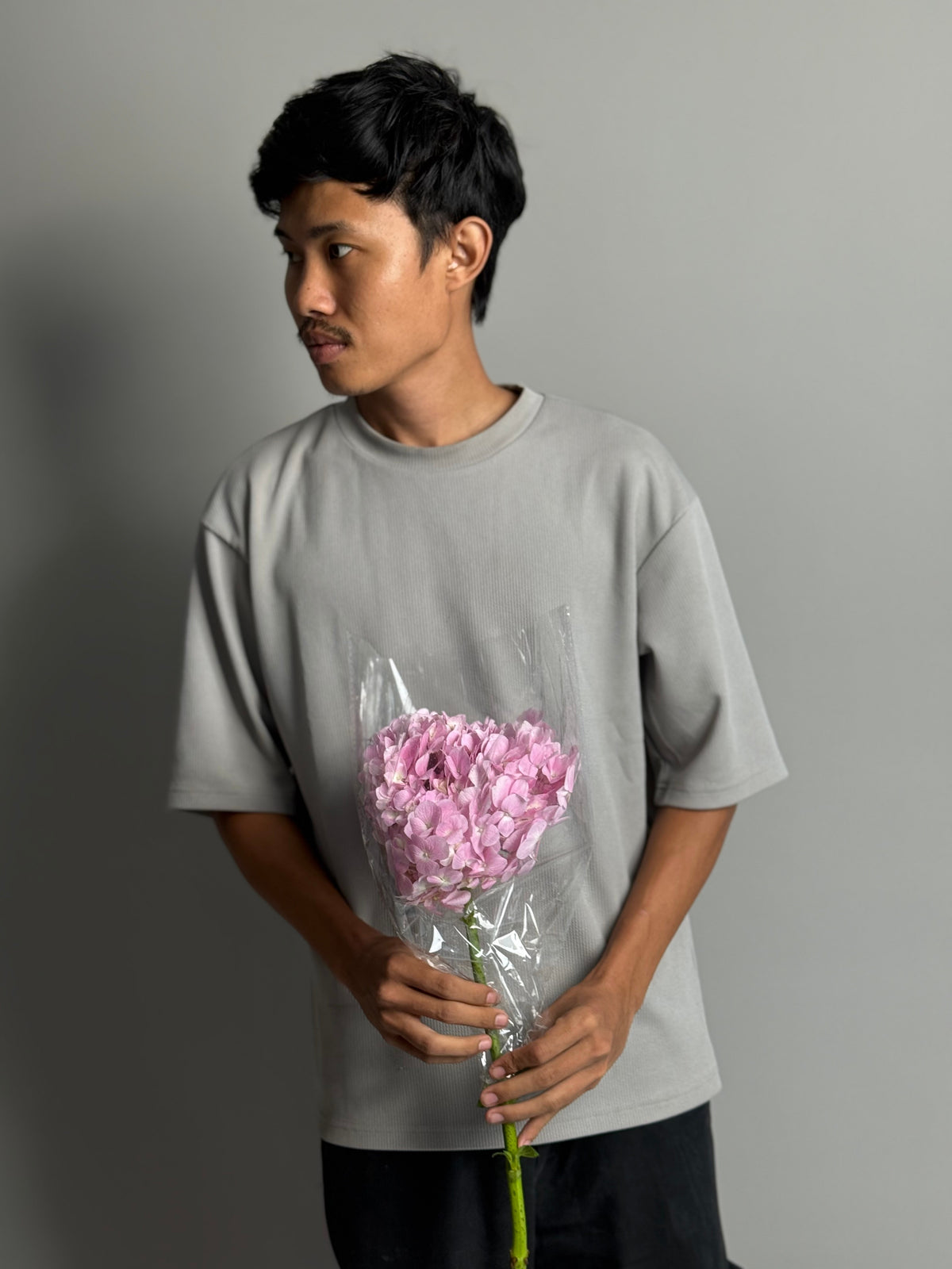 Hydrangea pink