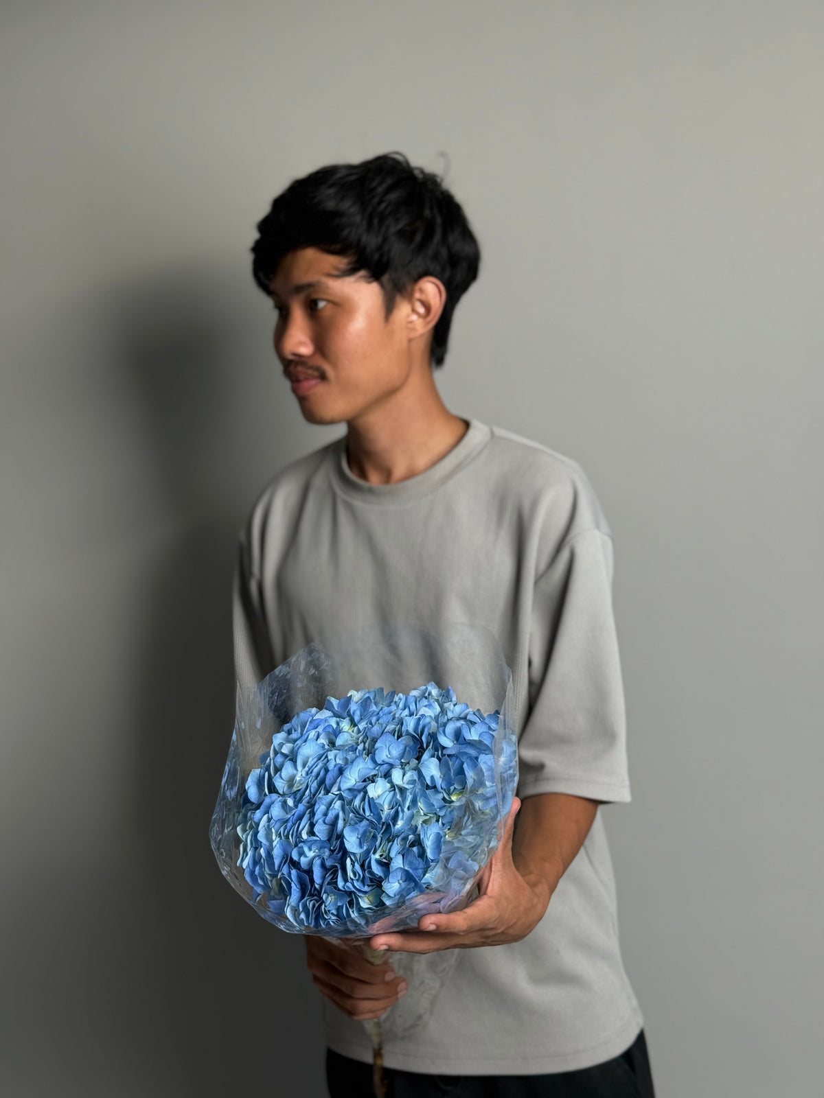 Hydrangea blue
