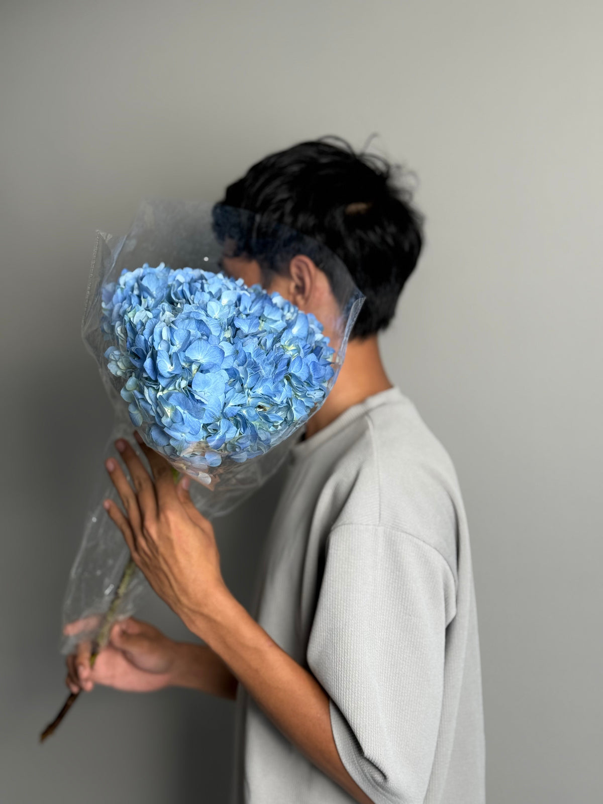 Hydrangea blue