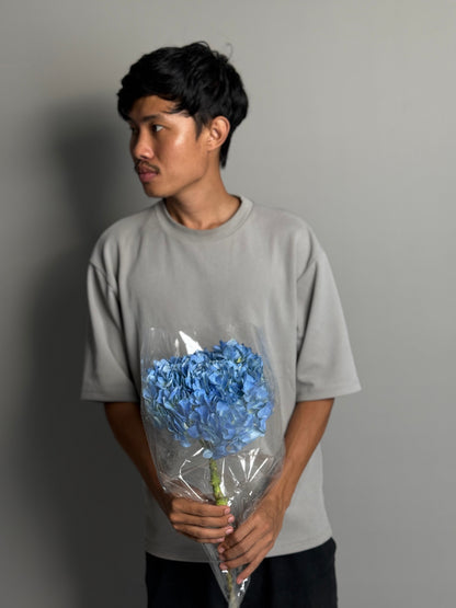 Hydrangea blue