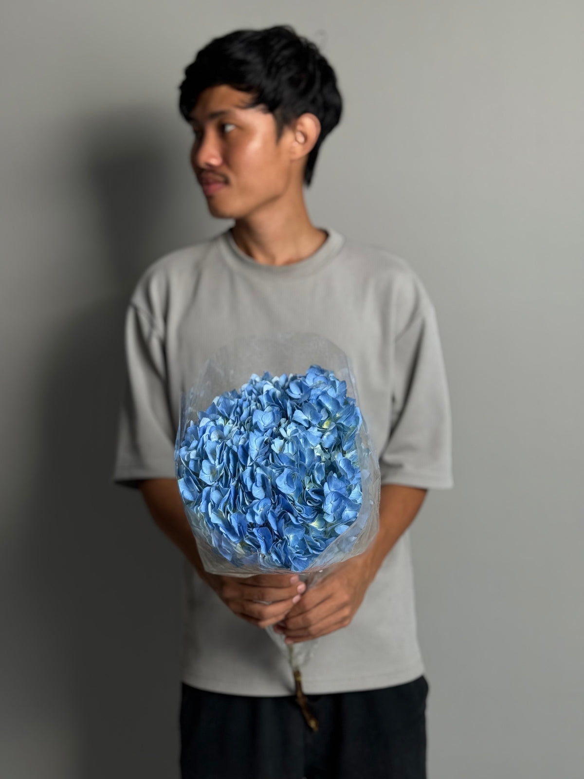 Hydrangea blue