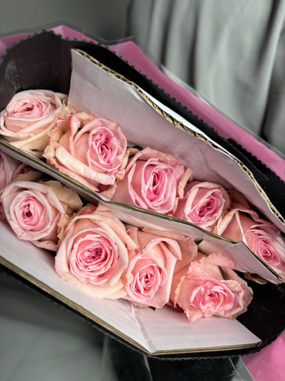 O'Hara rose pink