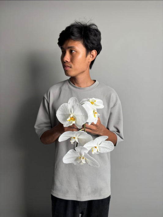 Phalaenopsis orchid