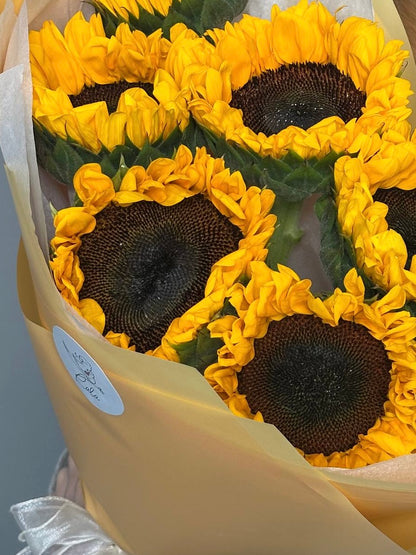 7 Sunflowers