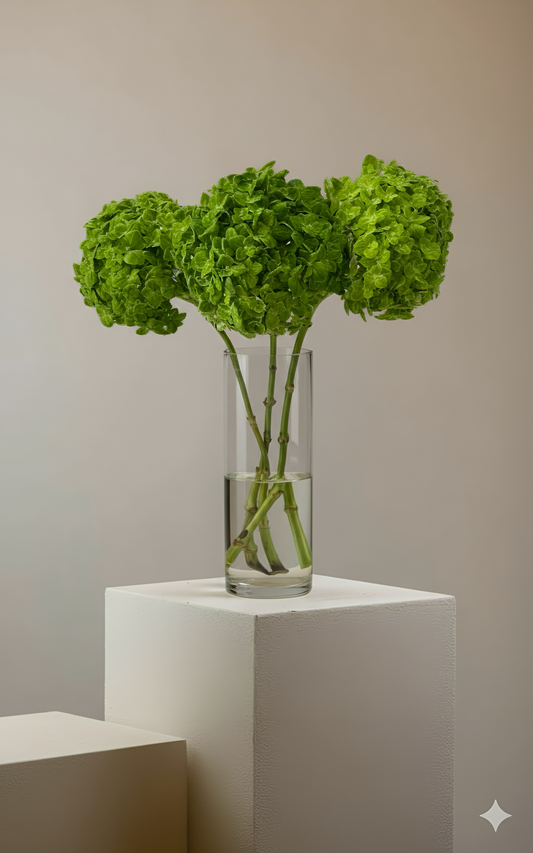 Bunch green hydrangea