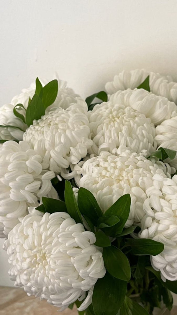Chrysanthemums