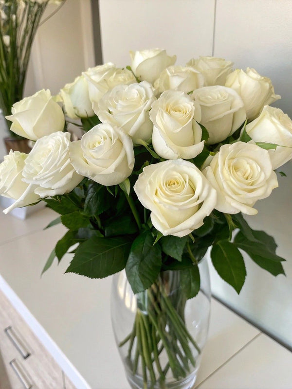 Flower care basics
